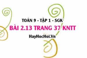 Bài 2.13 trang 37 Toán 9 tập 1 Kết nối tri thức